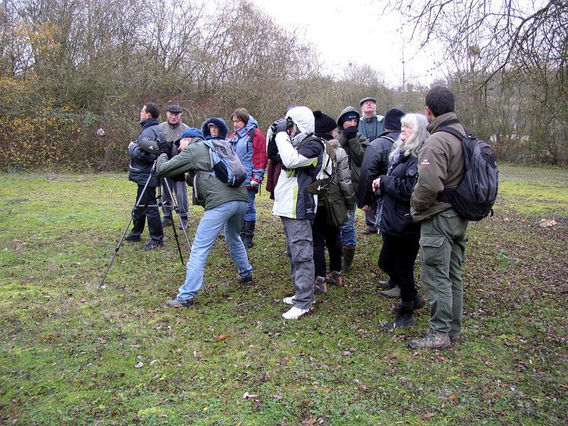 2009 01 Ornitho à Ecluzelles 14